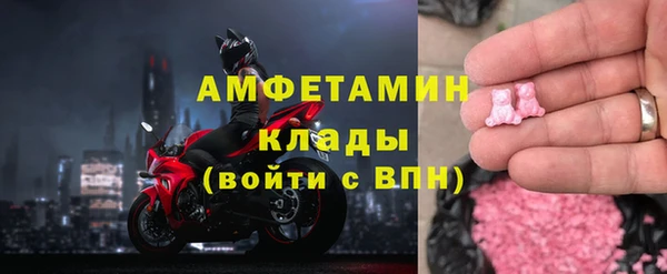 прущие грибы Абаза