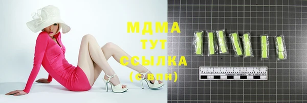 прущие грибы Абаза