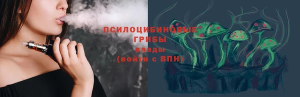 прущие грибы Абаза