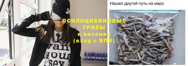 СК Алексеевка