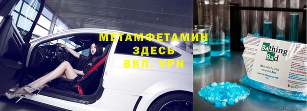прущие грибы Абаза
