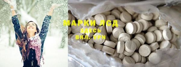 прущие грибы Абаза