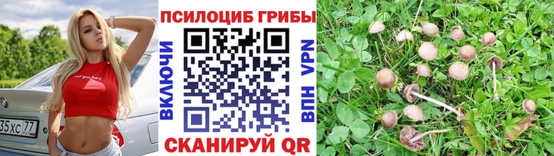 Галлюциногенные грибы Psilocybine cubensis  МЕГА вход  darknet наркотические препараты  Азнакаево 